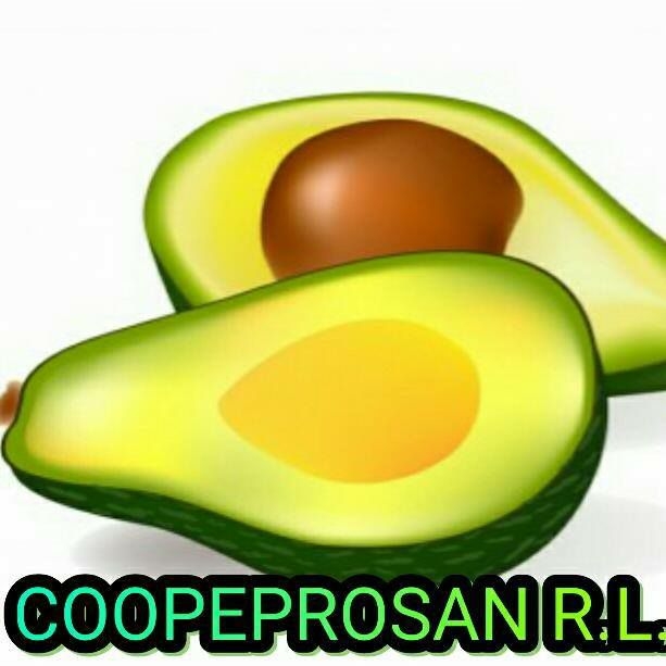 COOPEPROSAN R.L.