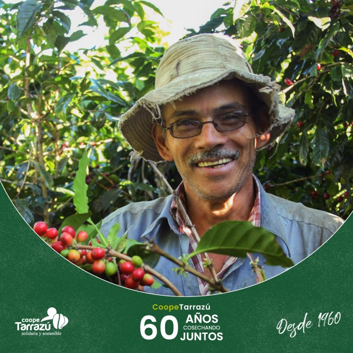 Productor de café de COOPETARRAZÚ R.L.