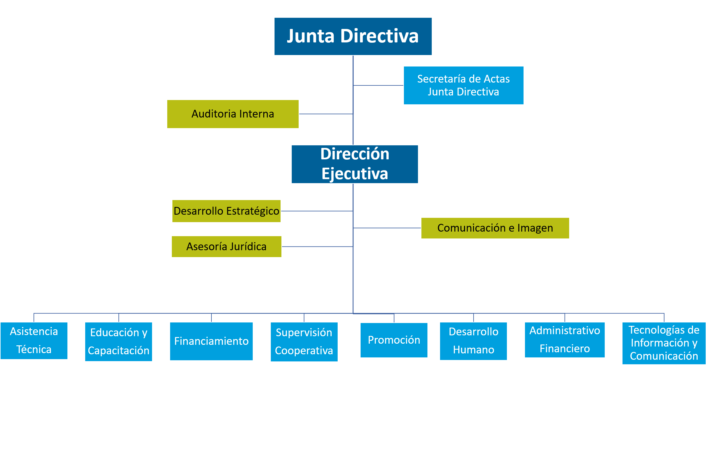 Organigrama INFOCOOP