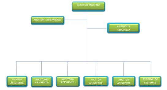 organigrama_auditoria