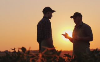 agricultores 