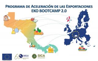 EKO BOOTCAMP 2.0