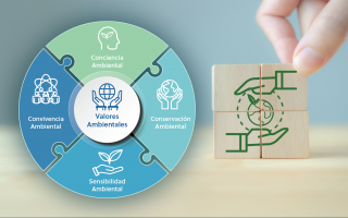 politica ambiental infocoop